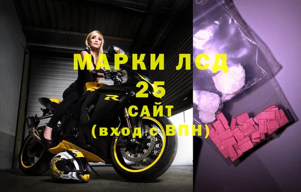 трава Осинники