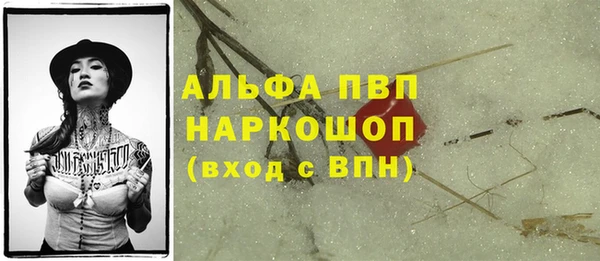 трава Осинники