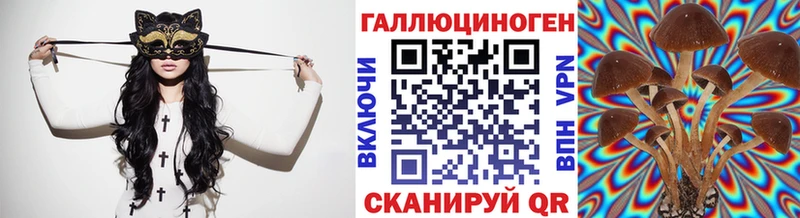 Псилоцибиновые грибы Cubensis  Стрежевой 