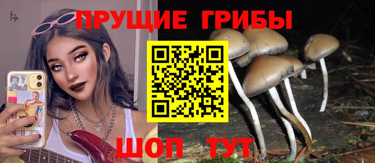 Стрежевой  Галлюциногенные грибы MAGIC MUSHROOMS  Вход с VPN 